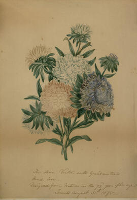 Watercolour of chrysanthemums for Victor